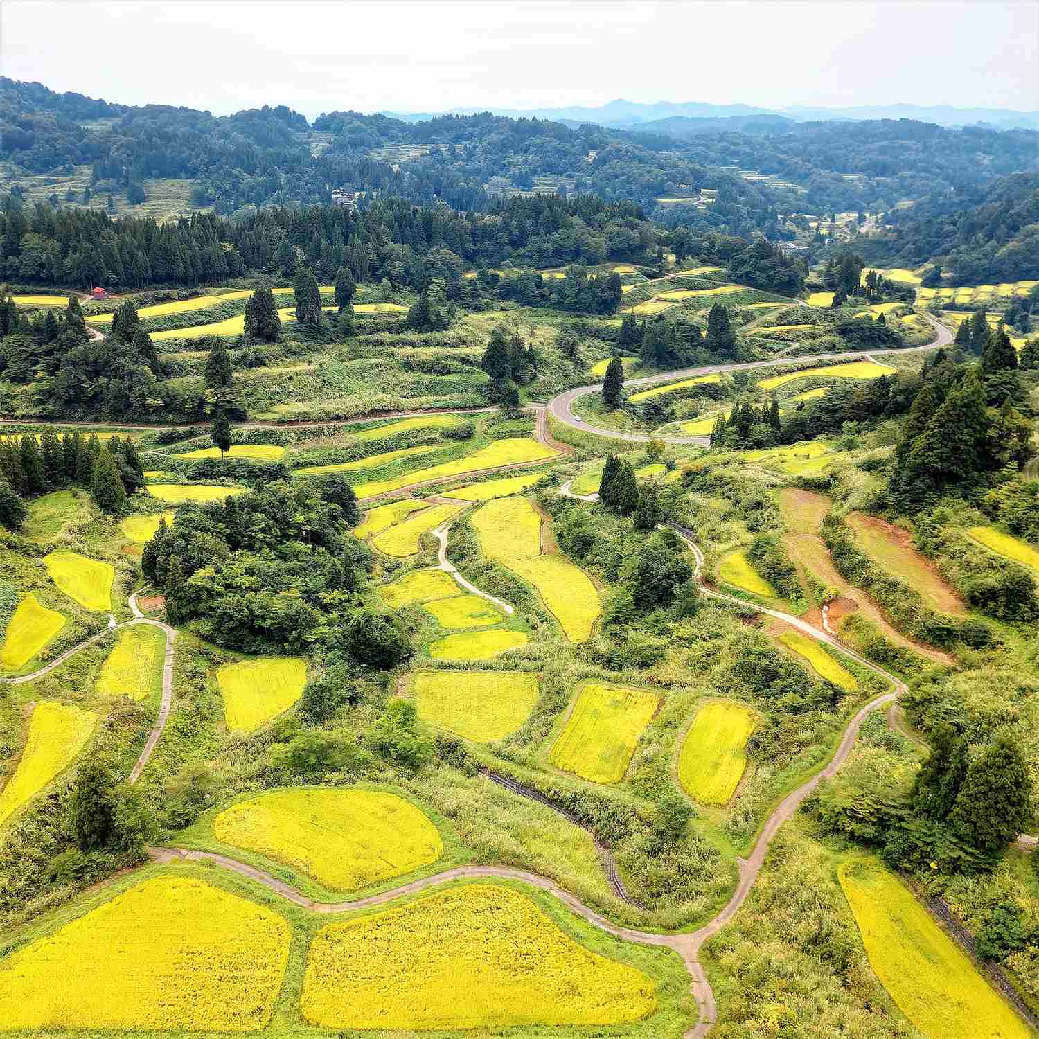 Tokamachi in Nigata Prefecture = Shutterstock 3