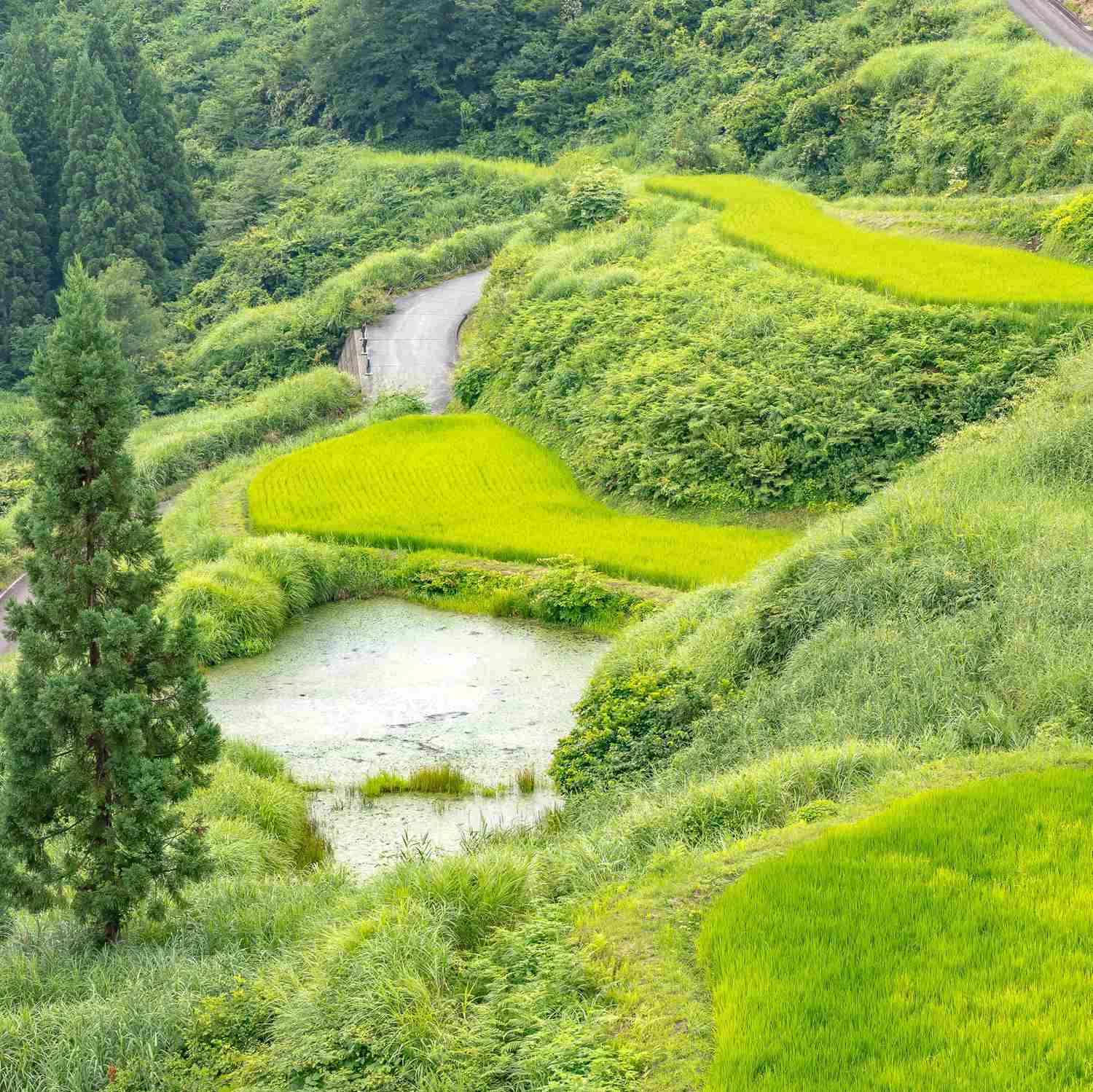 Tokamachi in Nigata Prefecture = Shutterstock 4