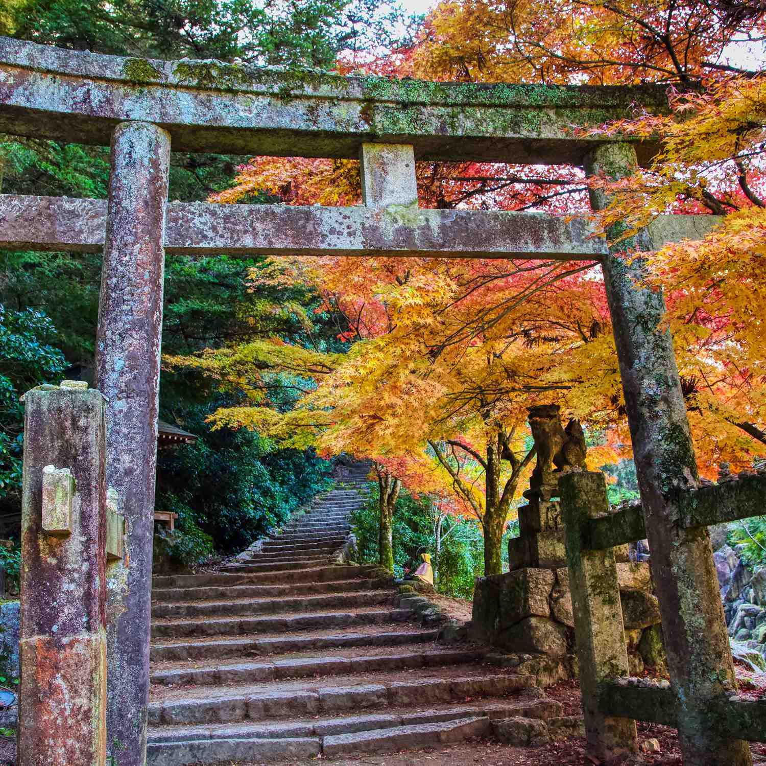 Miyajima Island in Hiroshima Prefecture = Shutterstock 6