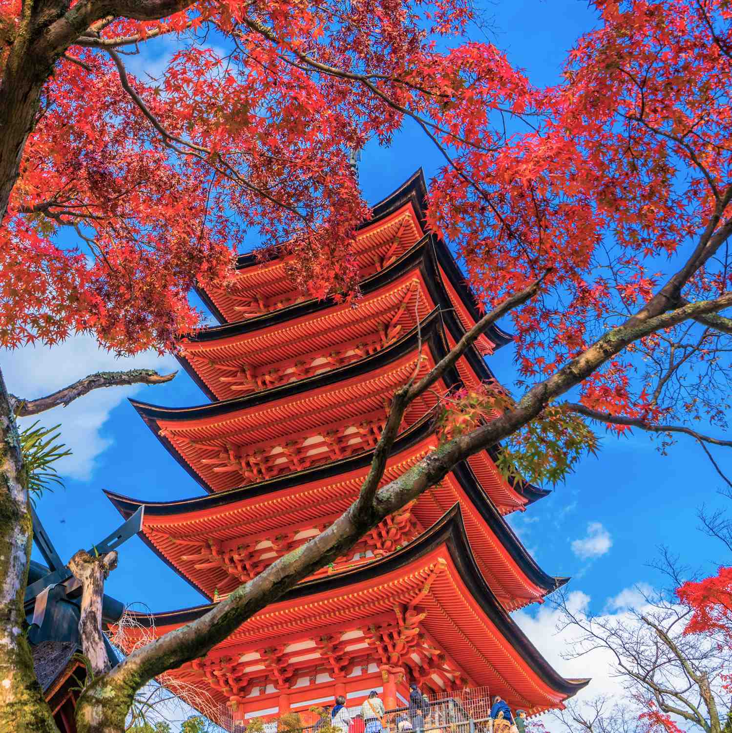 Miyajima Island in Hiroshima Prefecture = Shutterstock 7