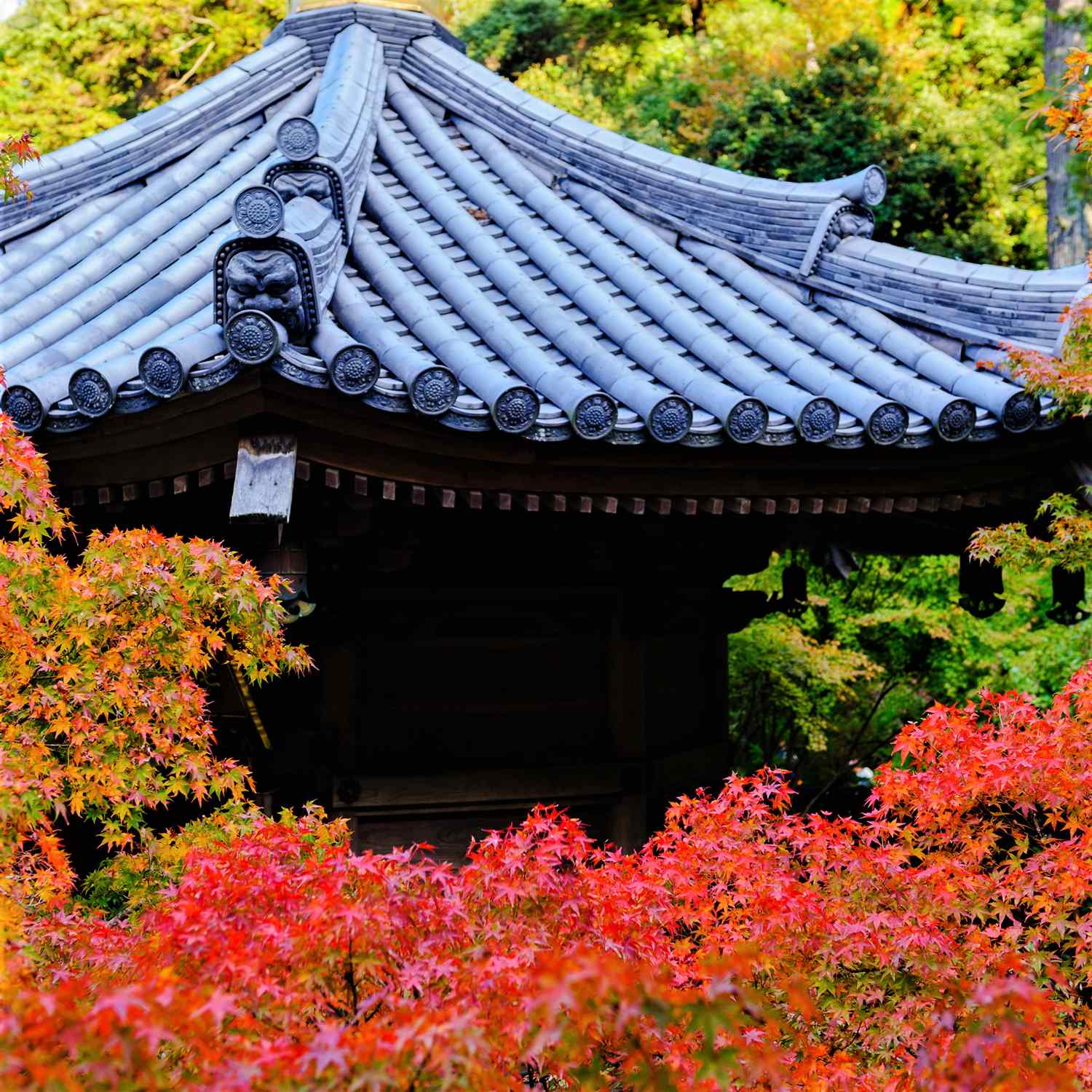 Miyajima Island in Hiroshima Prefecture = Shutterstock 8