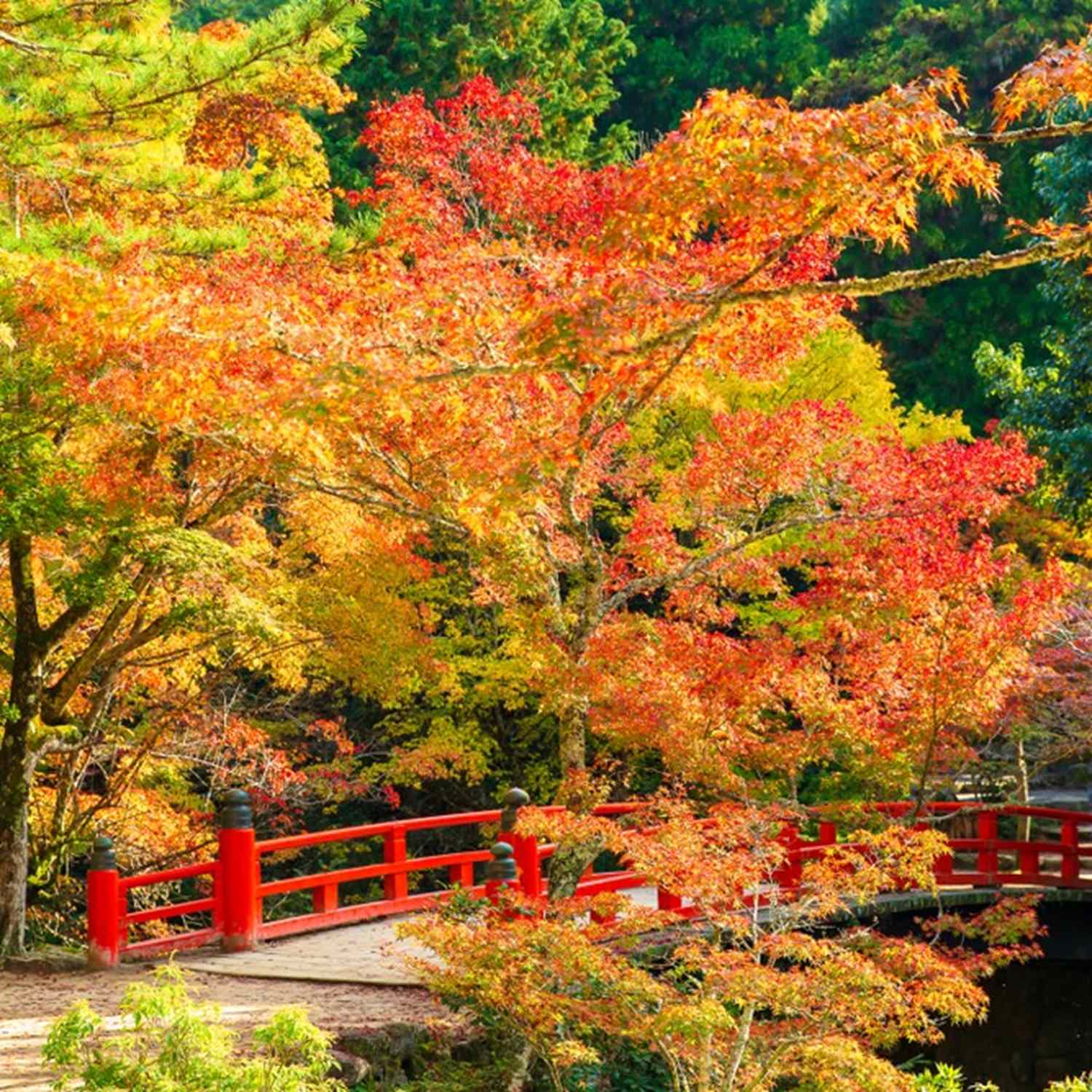 Miyajima Island in Hiroshima Prefecture = Shutterstock 9