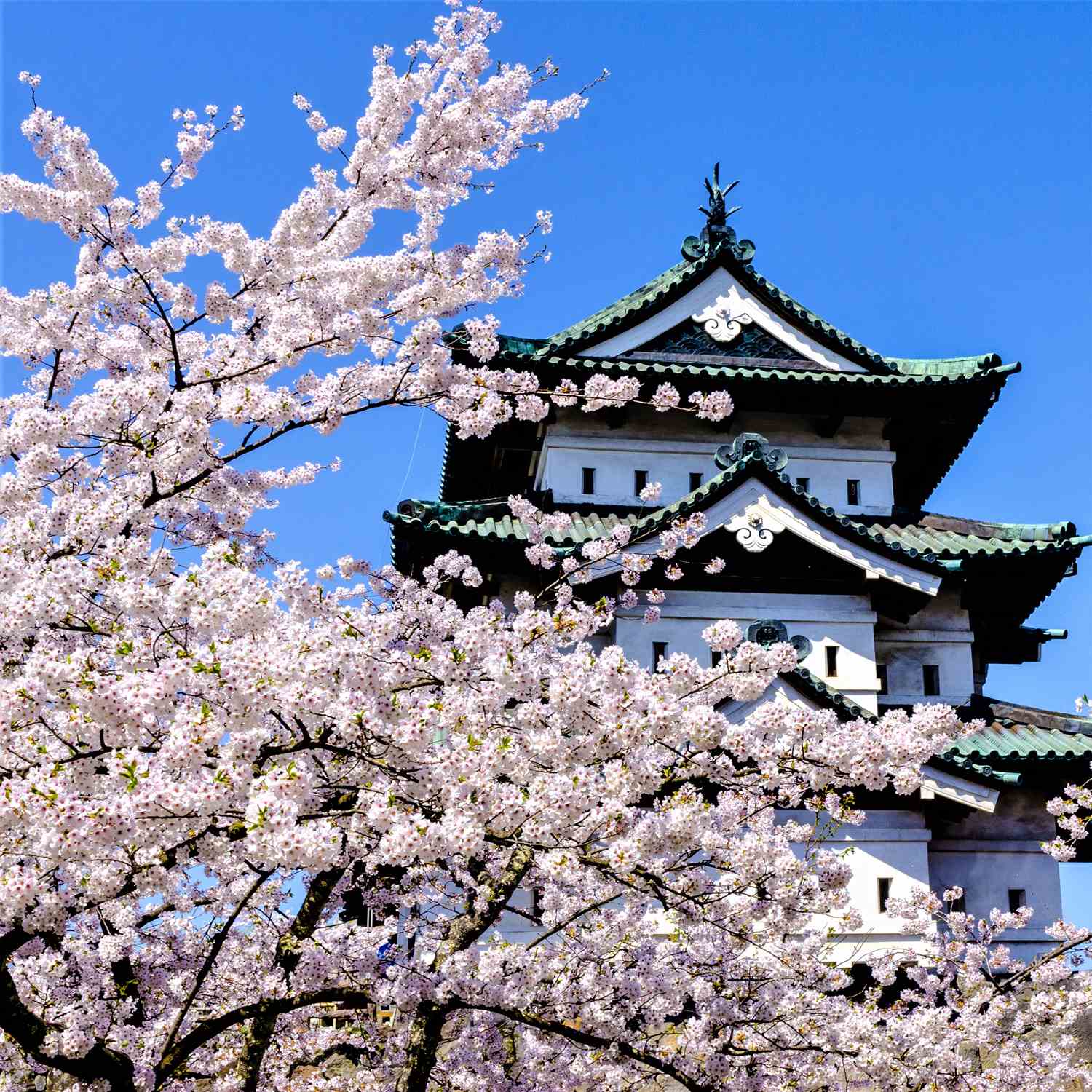 Hirosaki Castle in Aomori Prefecture = Shutterstock 6