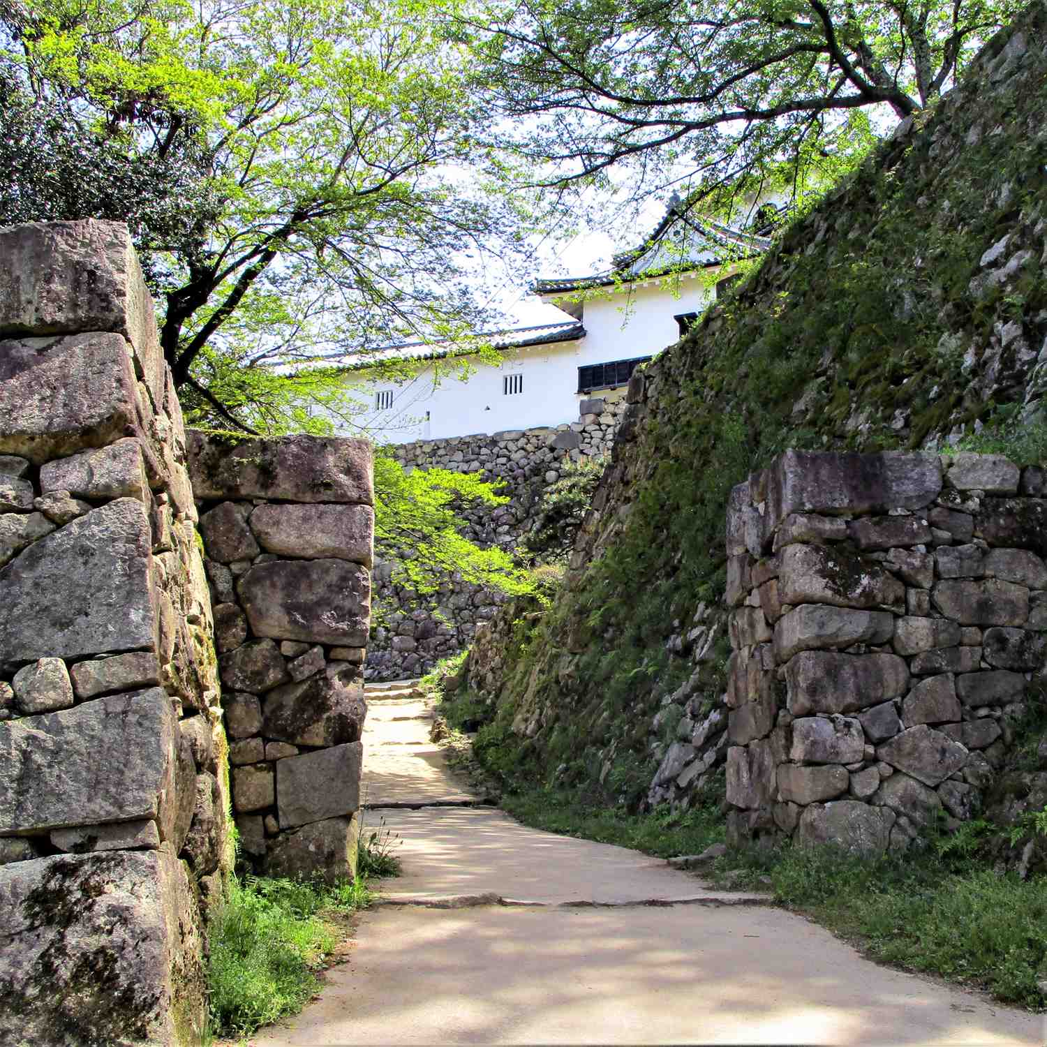 Hikone Castle in Shiga Prefecture = Shutterstock 6