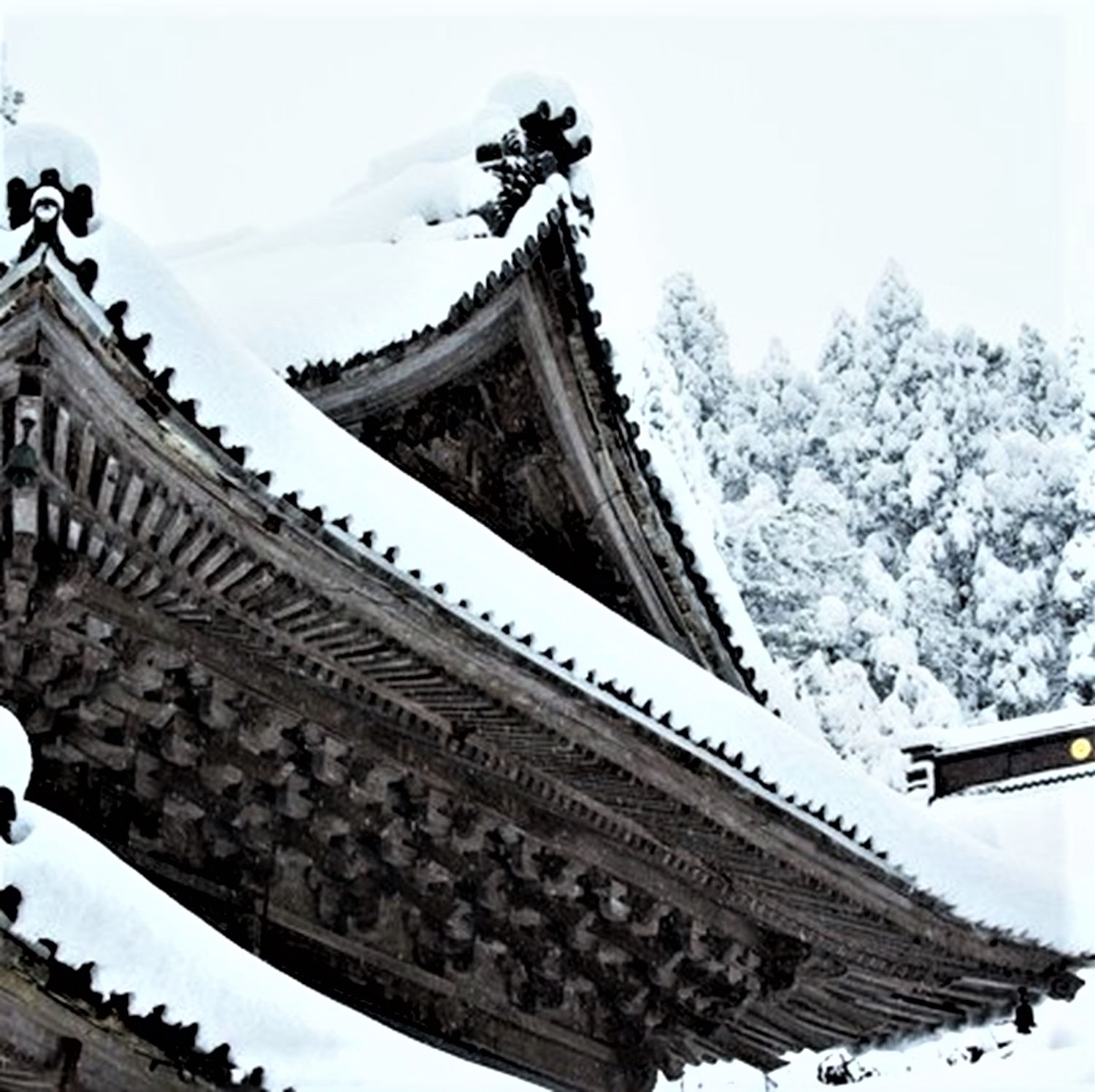 Eiheiji Temple in Fukui Prefecture = Pixta