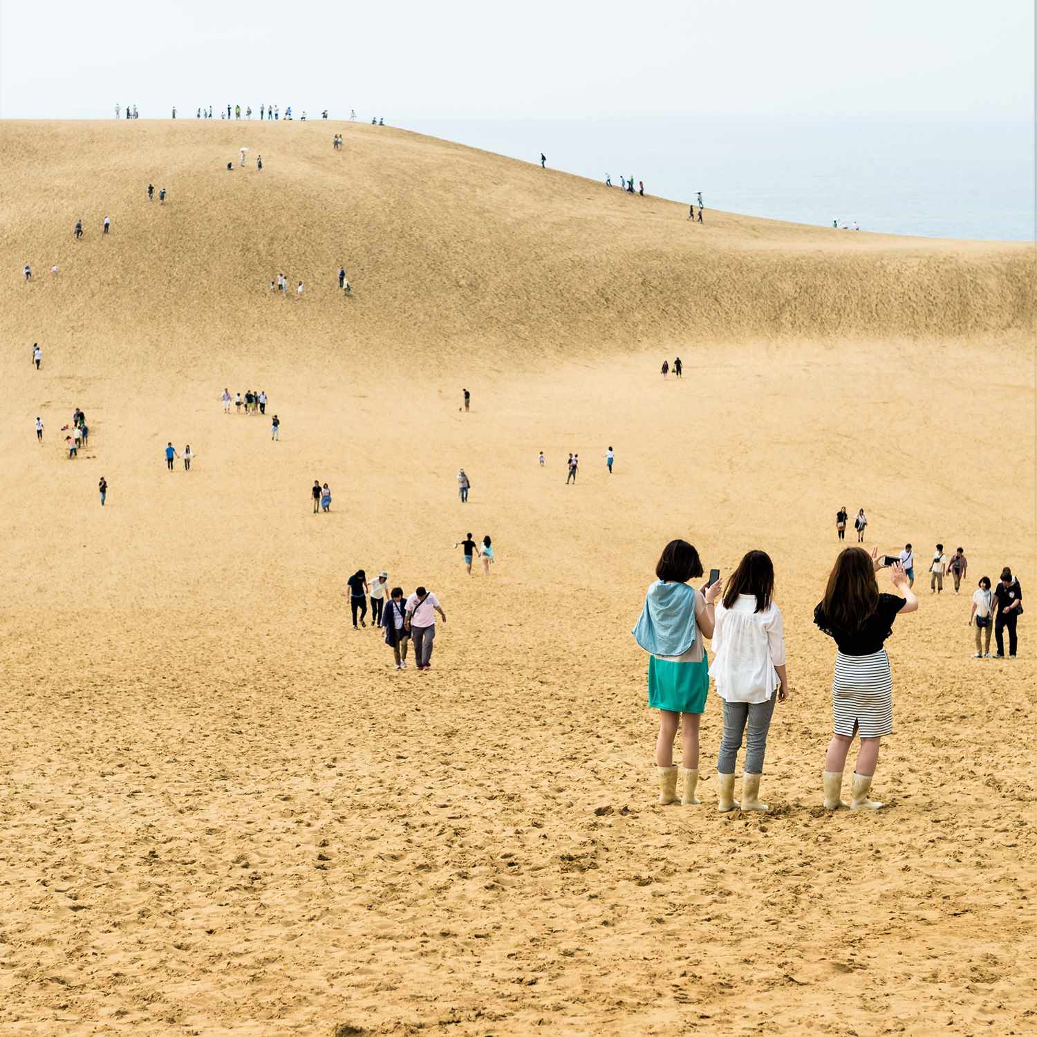Photos: Tottori Sand Dunes in Tottori Orefecture