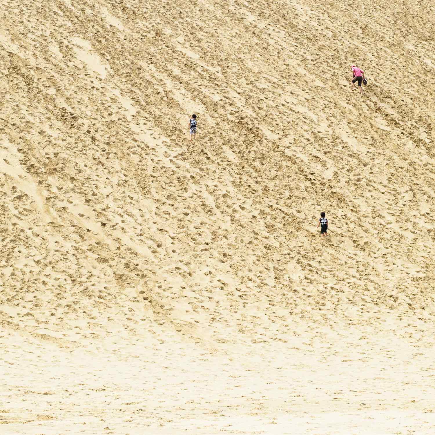 Tottori Sand Dunes in Tottori Orefecture = Shutterstock 2