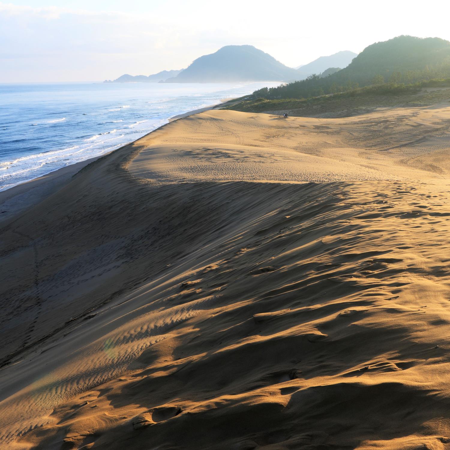 Tottori Sand Dunes in Tottori Orefecture = Shutterstock 4