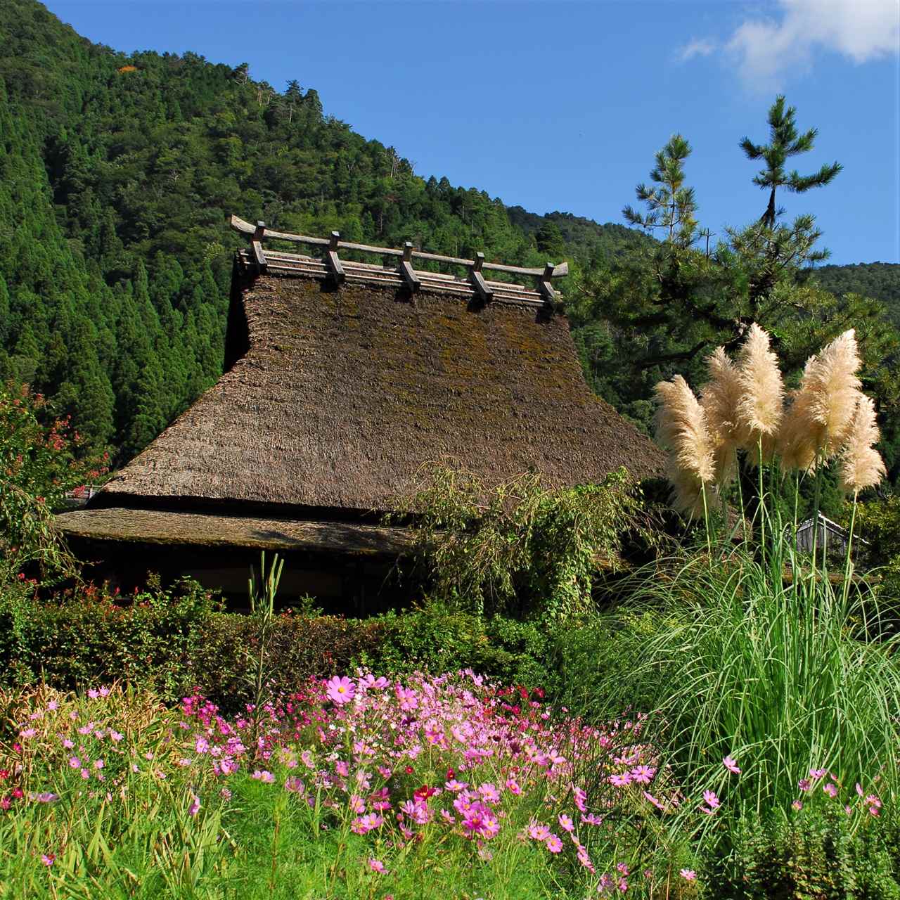 Miyama in Kyoto Prefecture = Shutterstock 51