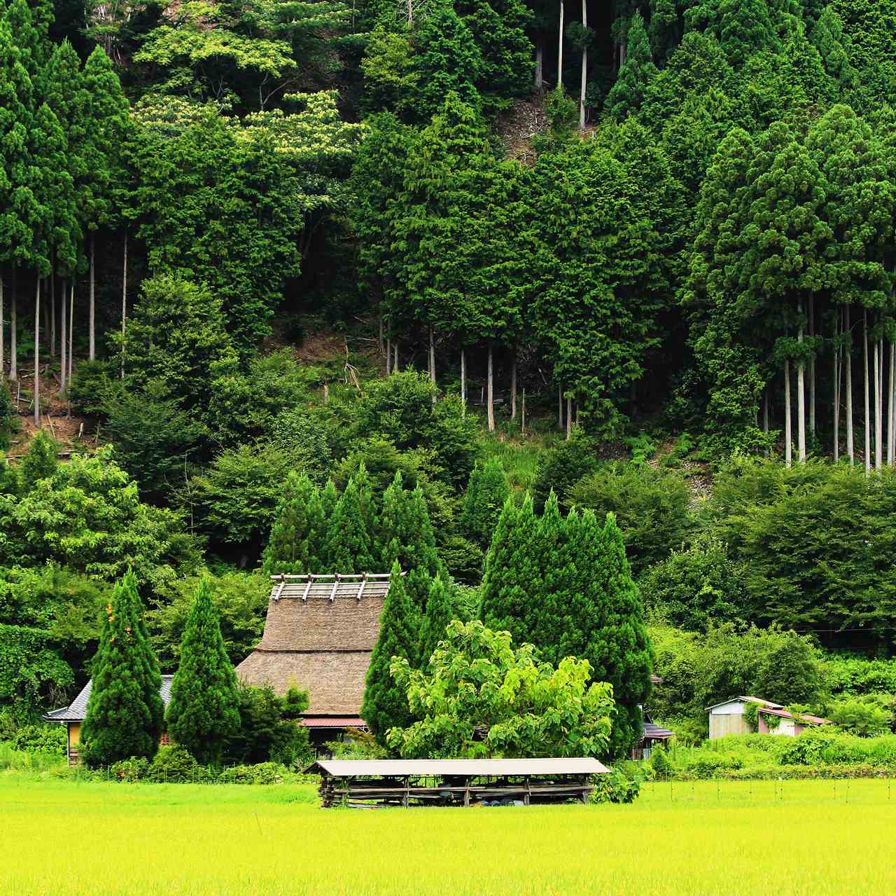Miyama in Kyoto Prefecture = Shutterstock 81