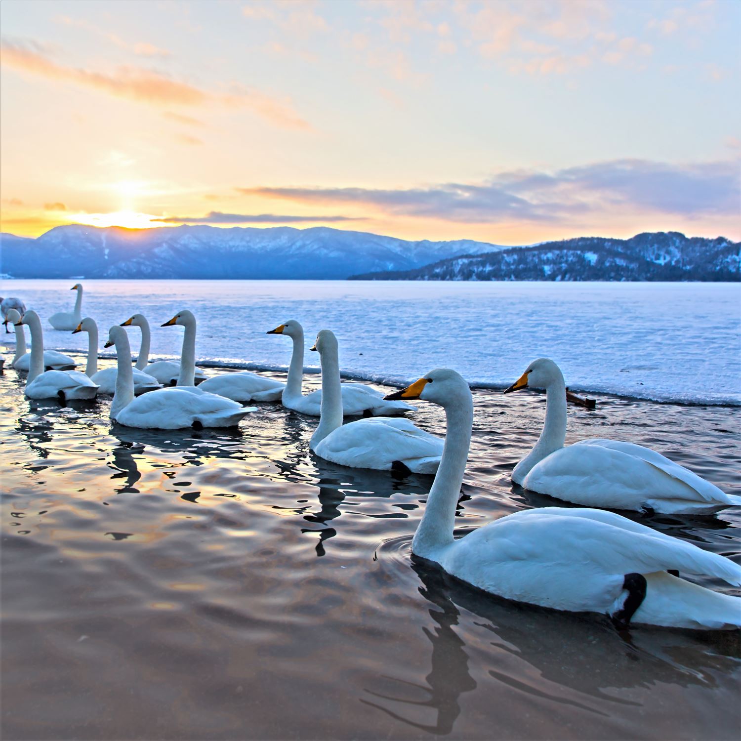 Lake Akan, Lake Mashu, Lake Kussharo in Hokkaido = Shutterstock 9