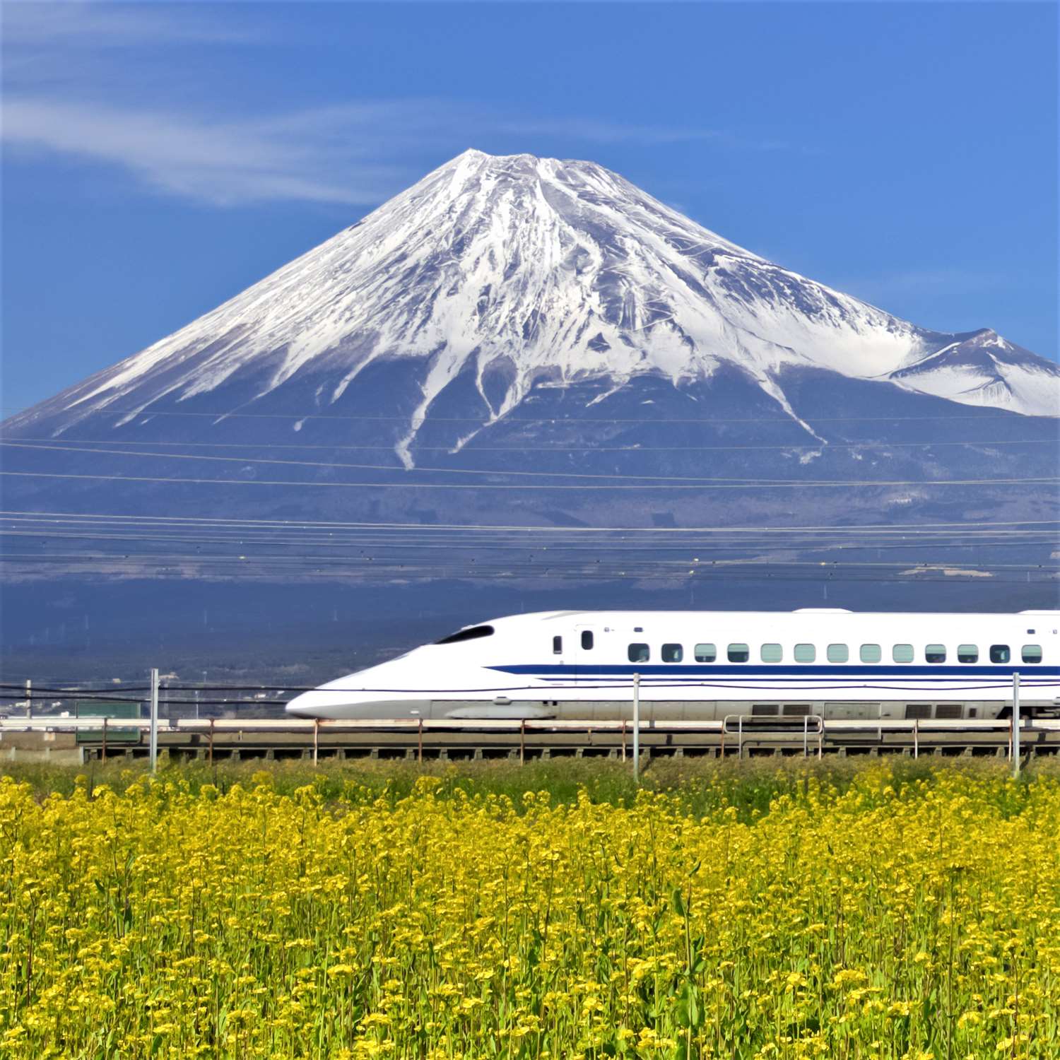 Shinkanasen and Mt. Fuji = AdobeStock