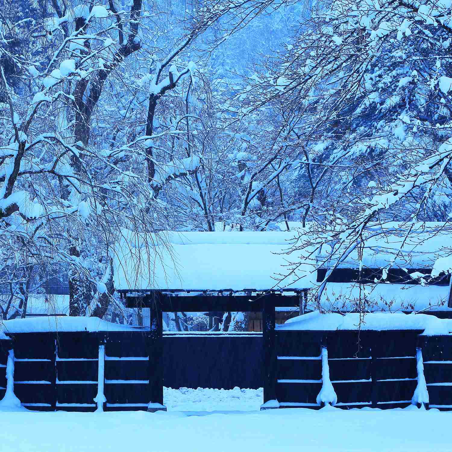 Photos: Kakunodate in winter, Akita Pfrefecture