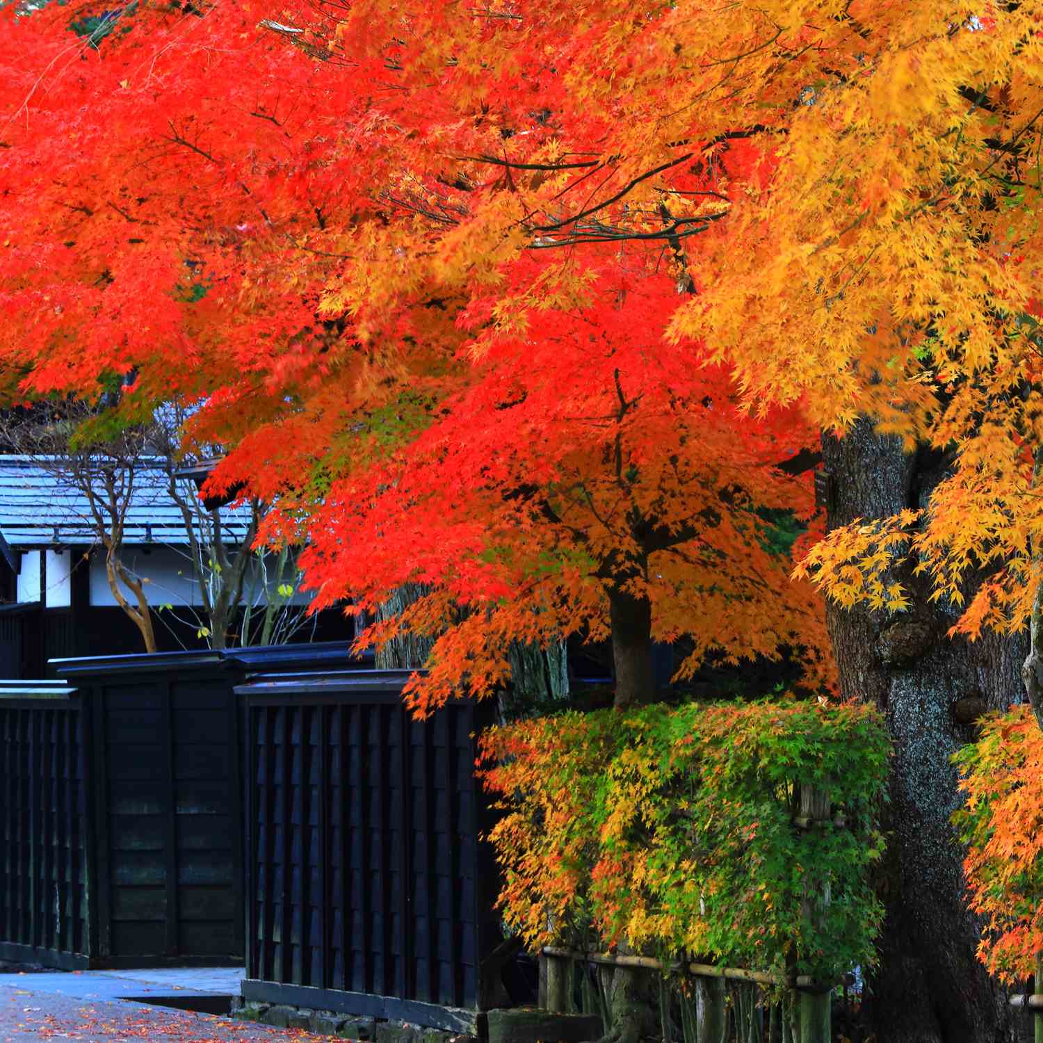 Kakunodate in autumn, Akita Pfrefecture = Shutterstock 2