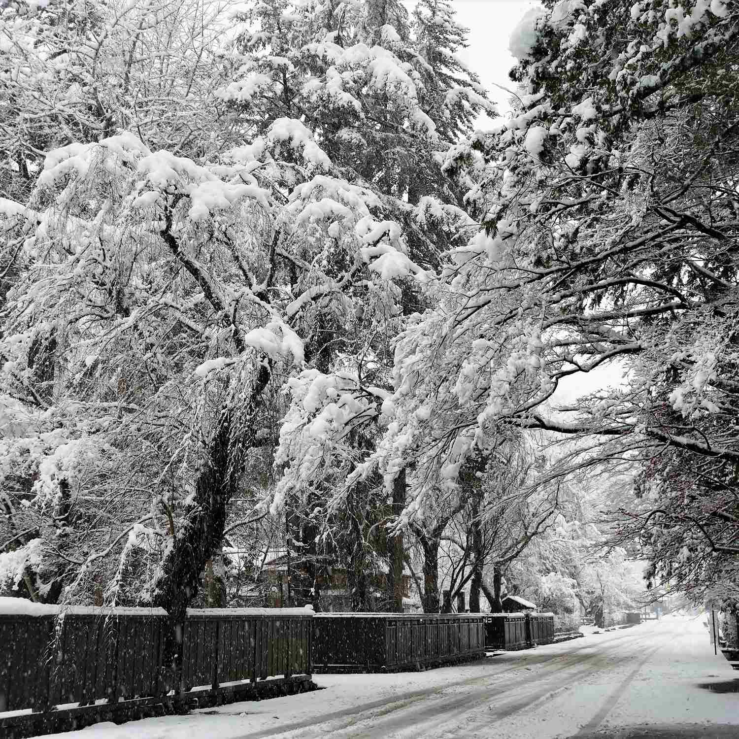 Kakunodate in winter, Akita Prefecture = Shutterstock 2