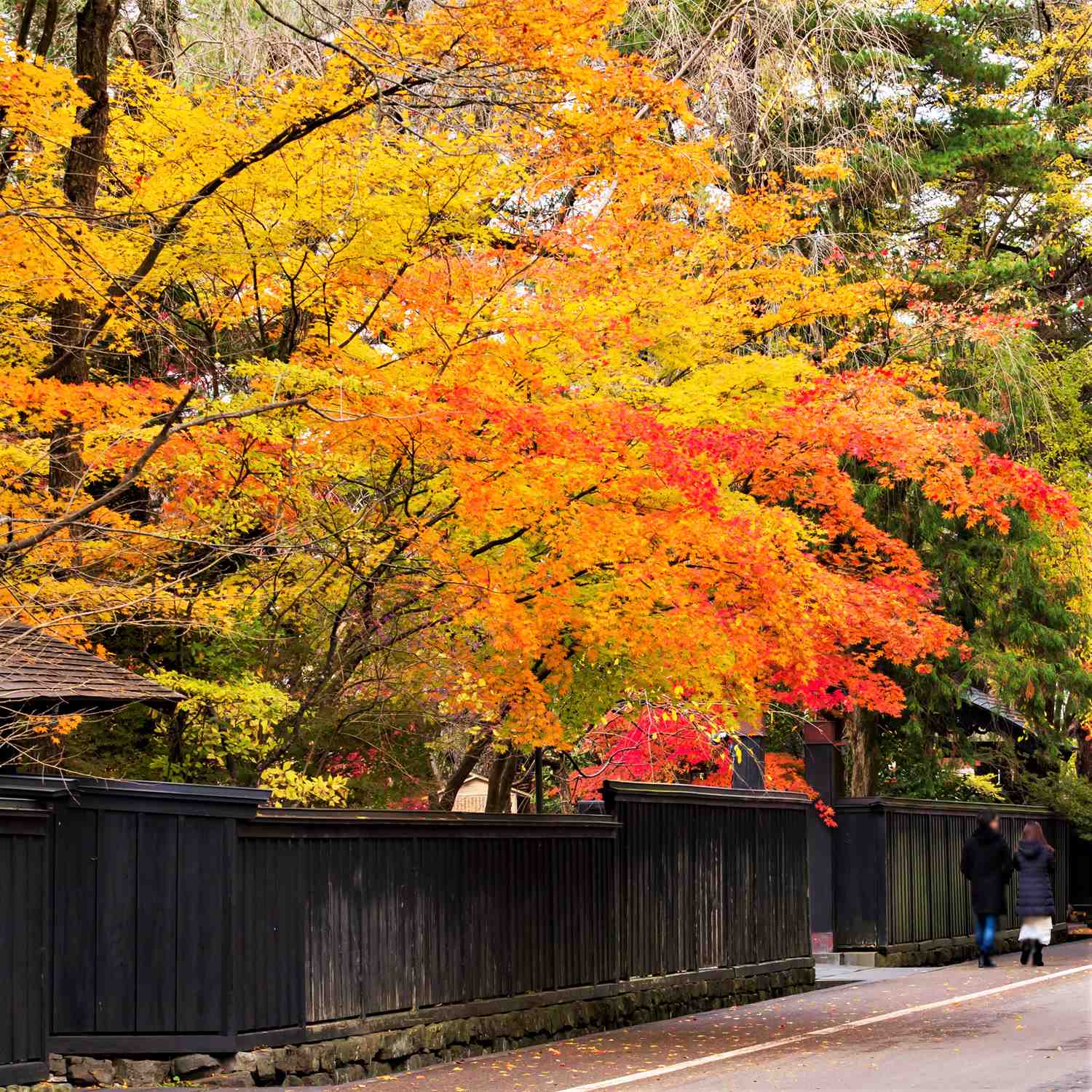 Kakunodate in autumn, Akita Pfrefecture = Shutterstock 3