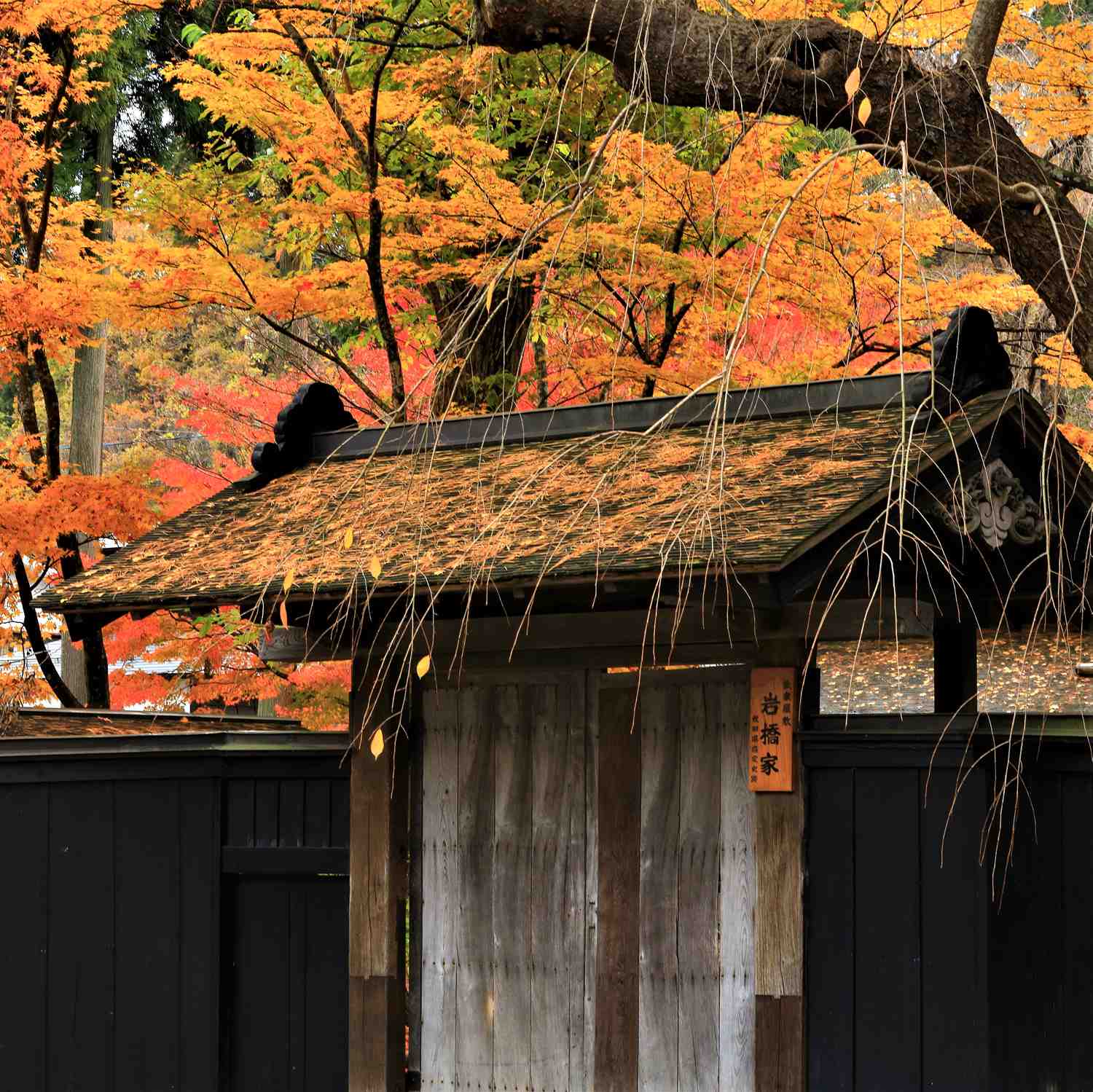 Kakunodate in autumn, Akita Pfrefecture = Shutterstock 6
