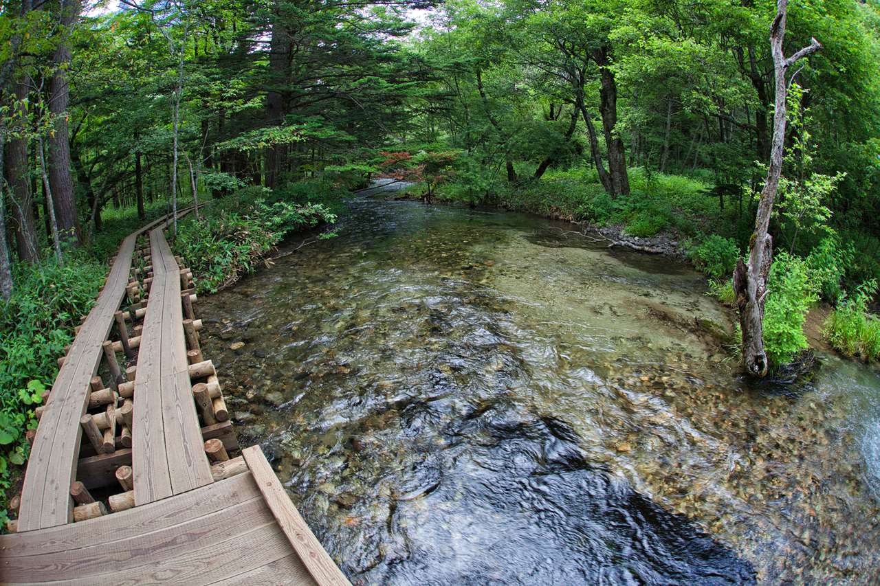Mountain stream along the trail, Nagano, Japan = Shutterstock