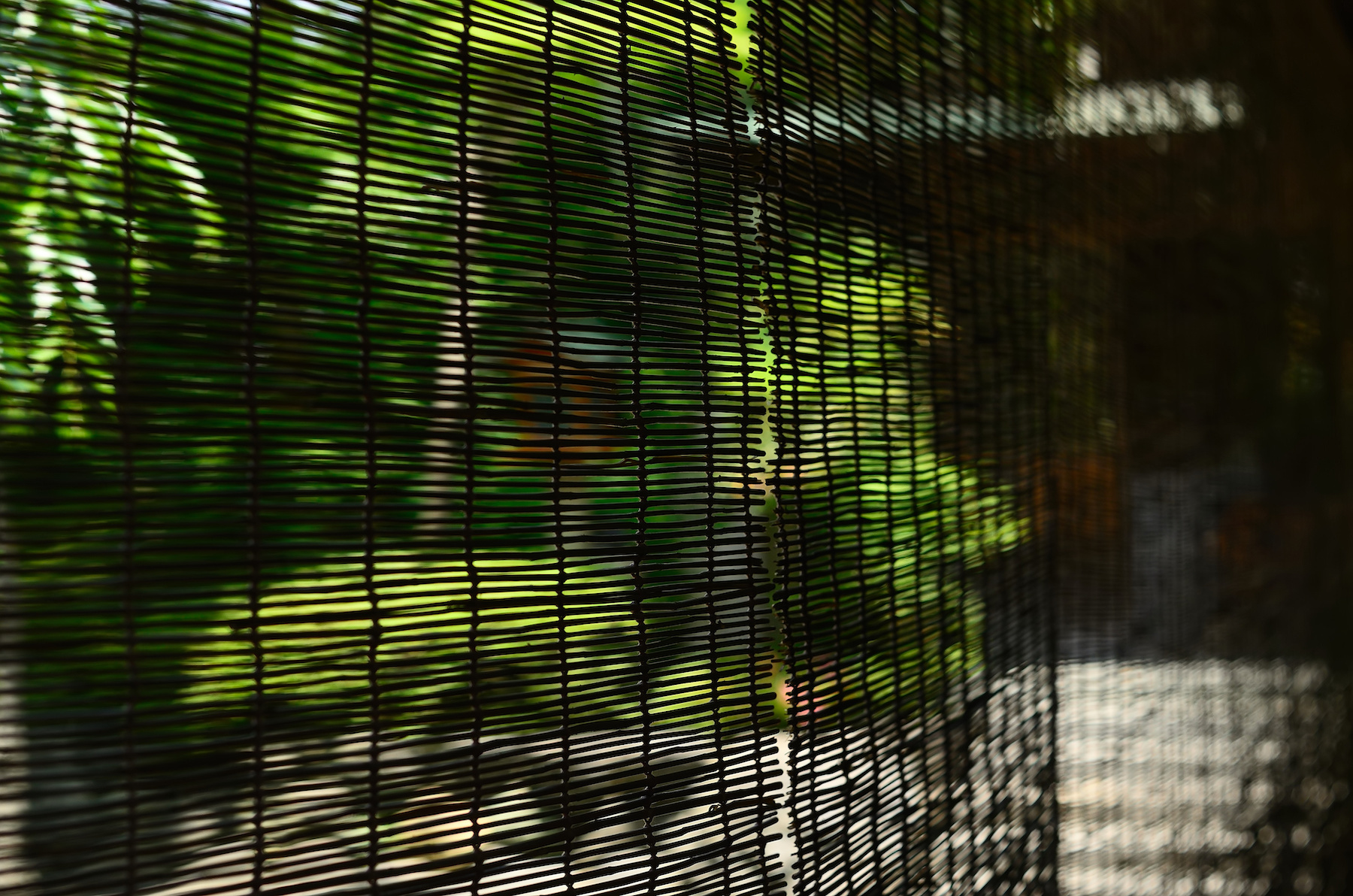 SUDARE, a Japanese living tool for keeping cool in hot summers JAPANICLE