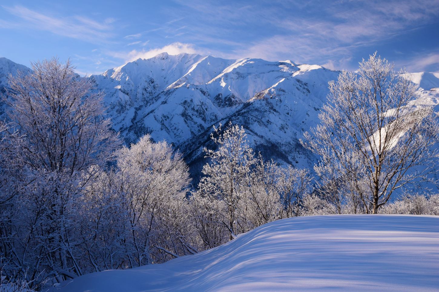 Snow begins to accumulate in the mountains of Nagano Prefecture in December, Hakuba, Japan=Shutterstock