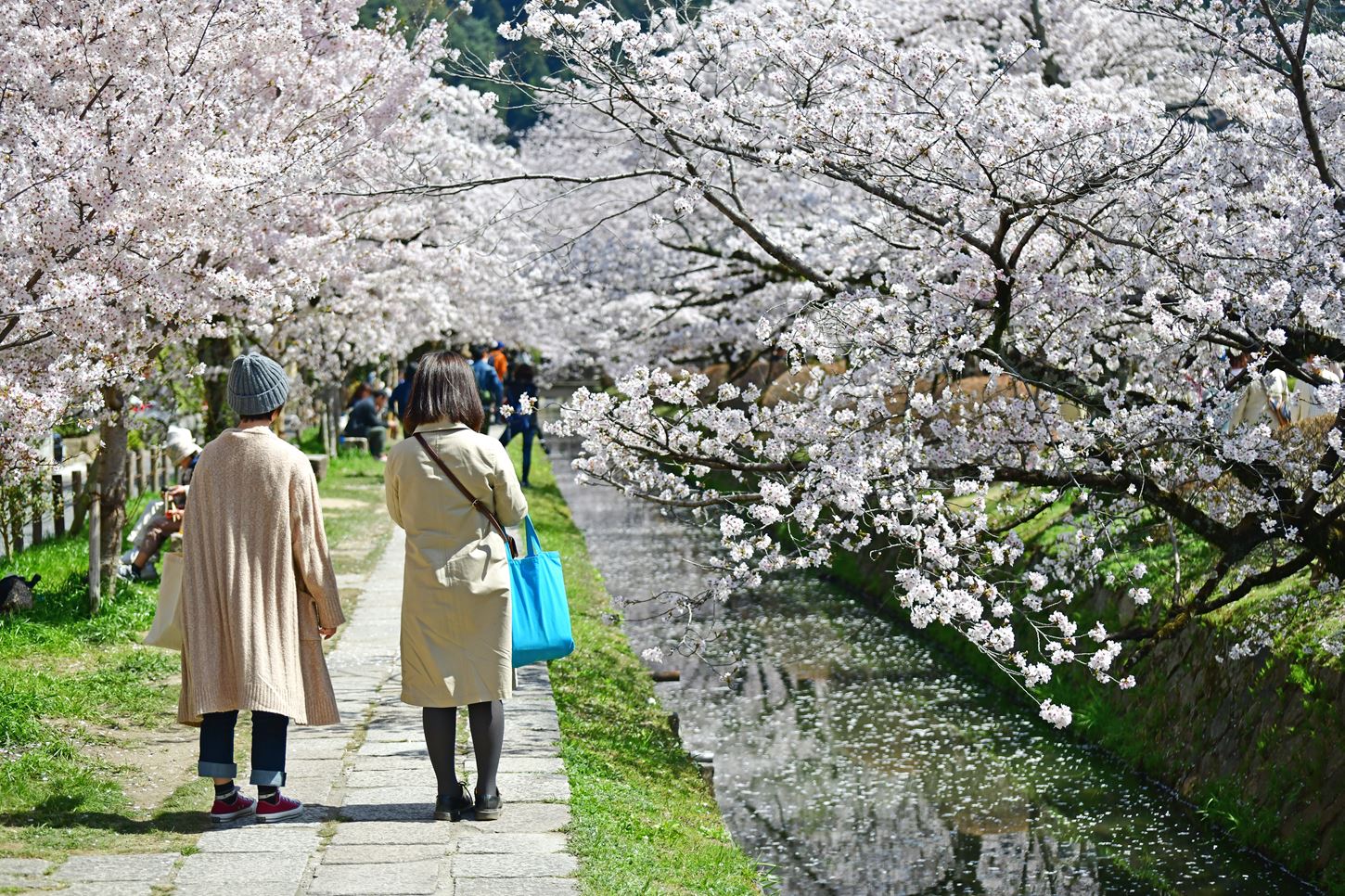 Sightseeing scenery that simply shows the weather in Kyoto in March4