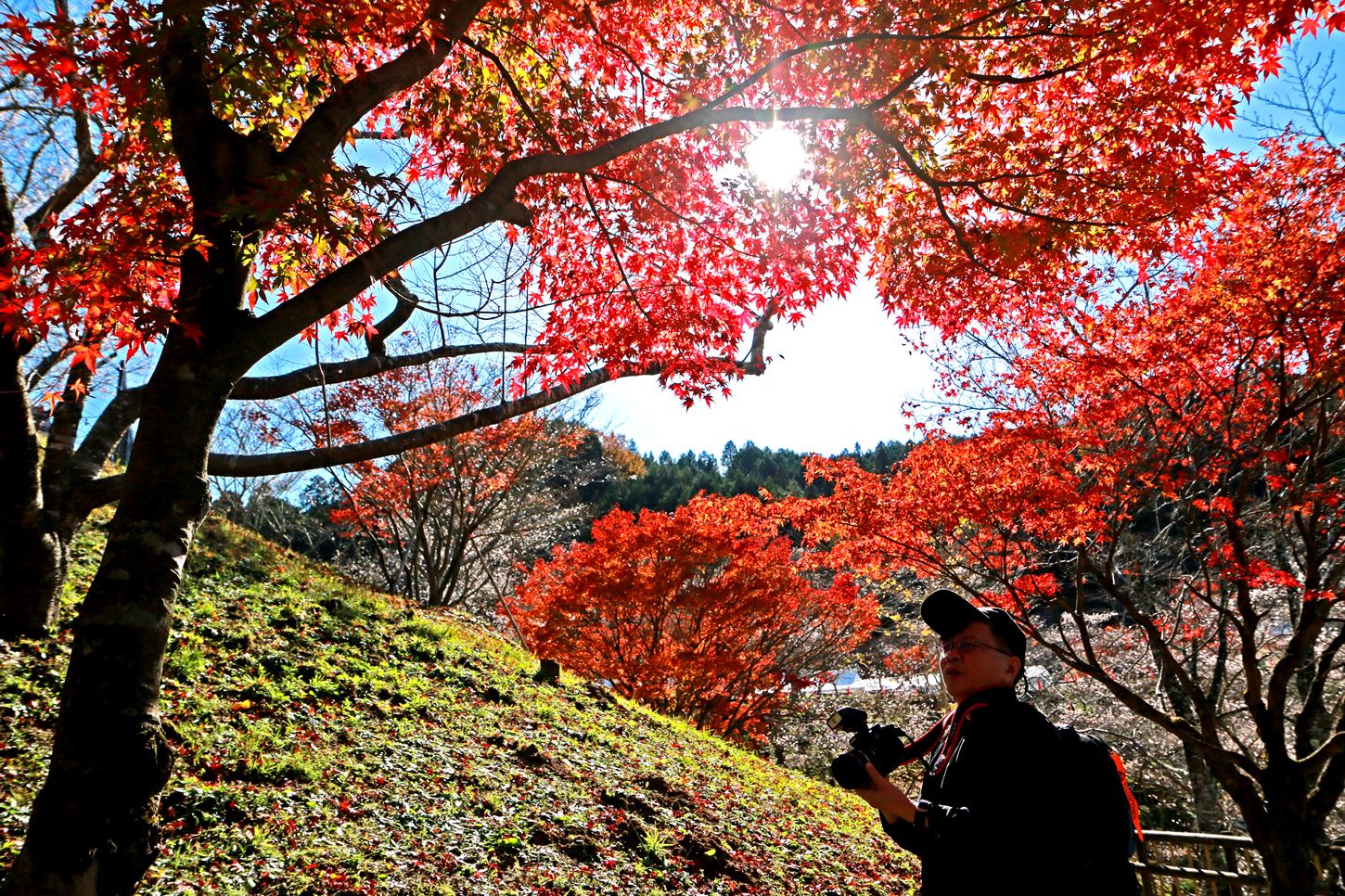 Sightseeing scenery that simply shows the weather in Sendai in November5