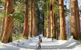 Sightseeing scenery that simply shows the weather in Nagano in December6