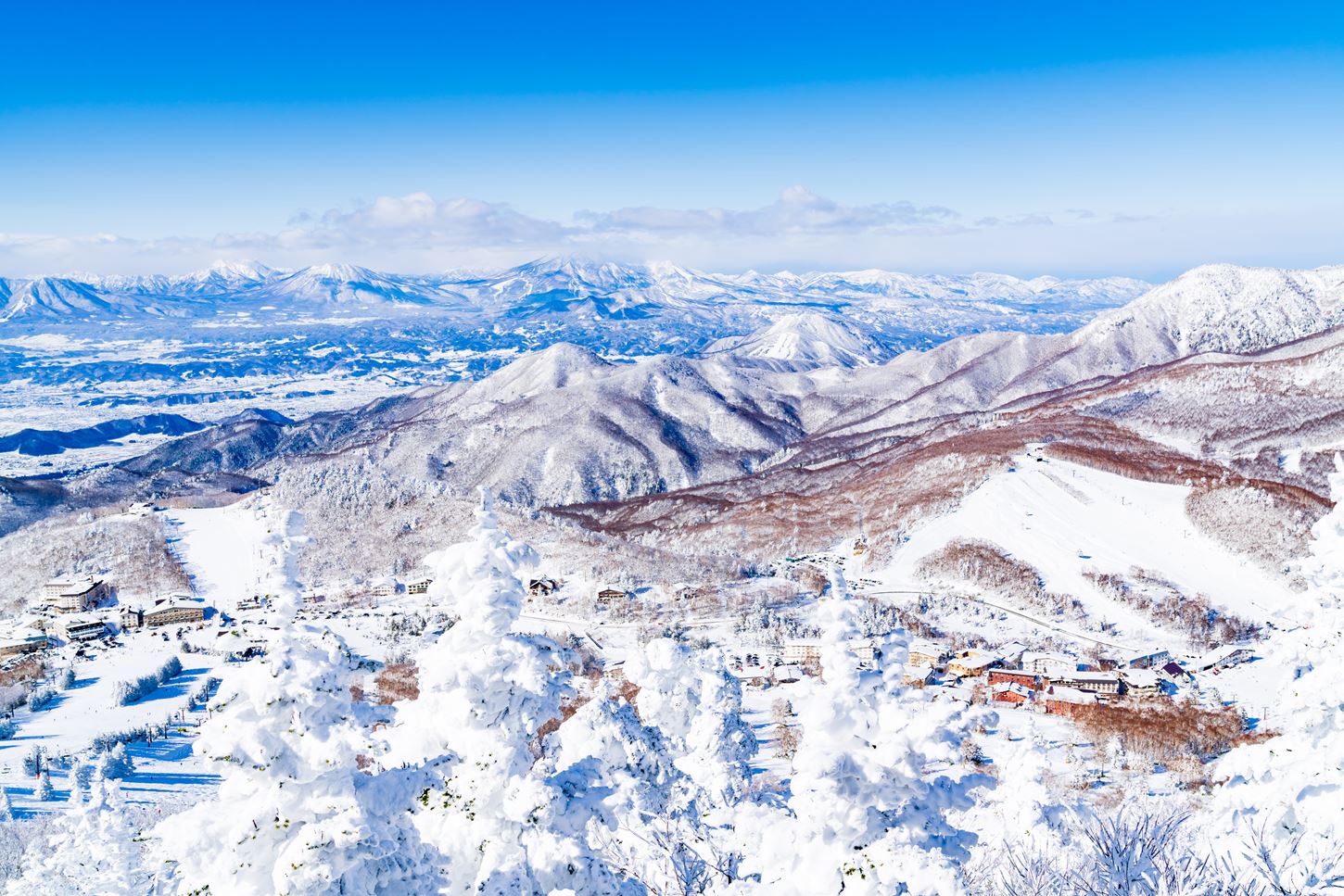 Mountainous areas in Nagano Prefecture are covered with snow in January. Photo shows the scenery of Shiga Kogen in January = Shutterstock