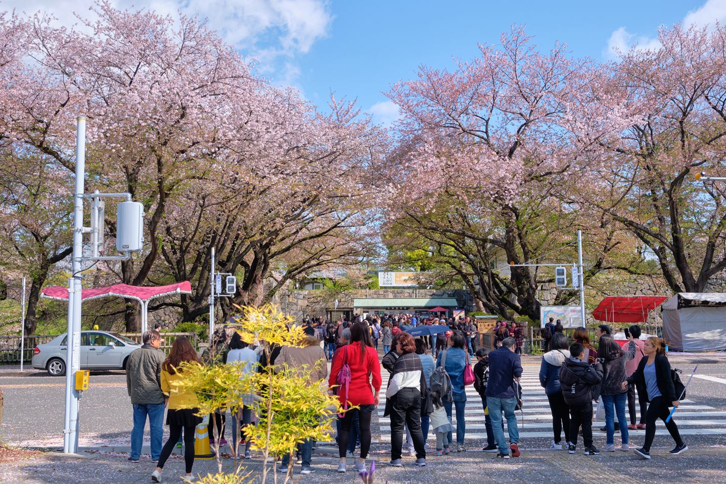 Sightseeing scenery that simply shows the weather in Nagoya in April3
