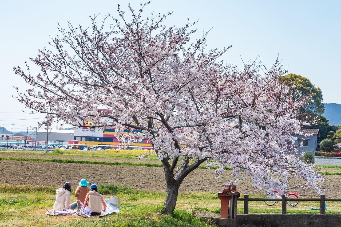 Sightseeing scenery that simply shows the weather and clothes in Fukuoka in April2