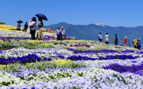 Sightseeing scenery that simply shows the weather in Nagano in May1