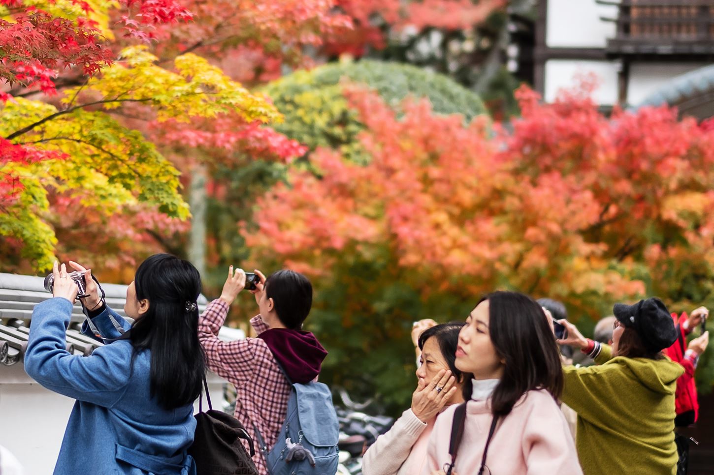 Sightseeing scenery that simply shows the weather in Kyoto in November6
