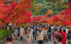 Sightseeing scenery that simply shows the weather in Kyoto in November1