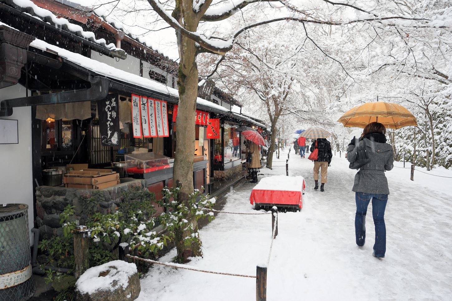 Sightseeing scenery that simply shows the weather in Kyoto in February3