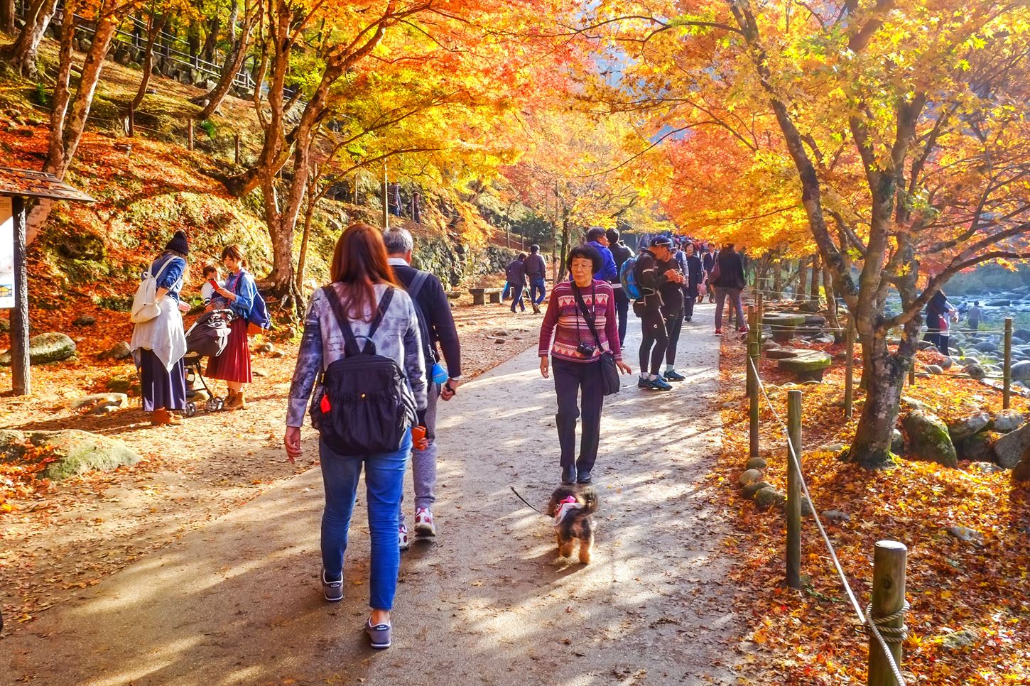 Sightseeing scenery that simply shows the weather Nagoya in November4