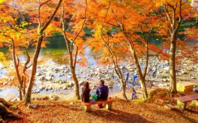 Sightseeing scenery that simply shows the weather Nagoya in November1