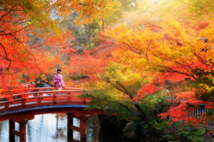 日本の秋_紅葉