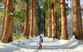 Togakushi in winter, Nagano prefecture, Japan