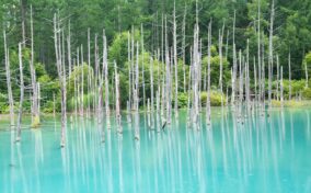 Blue Pond, Hokkaido