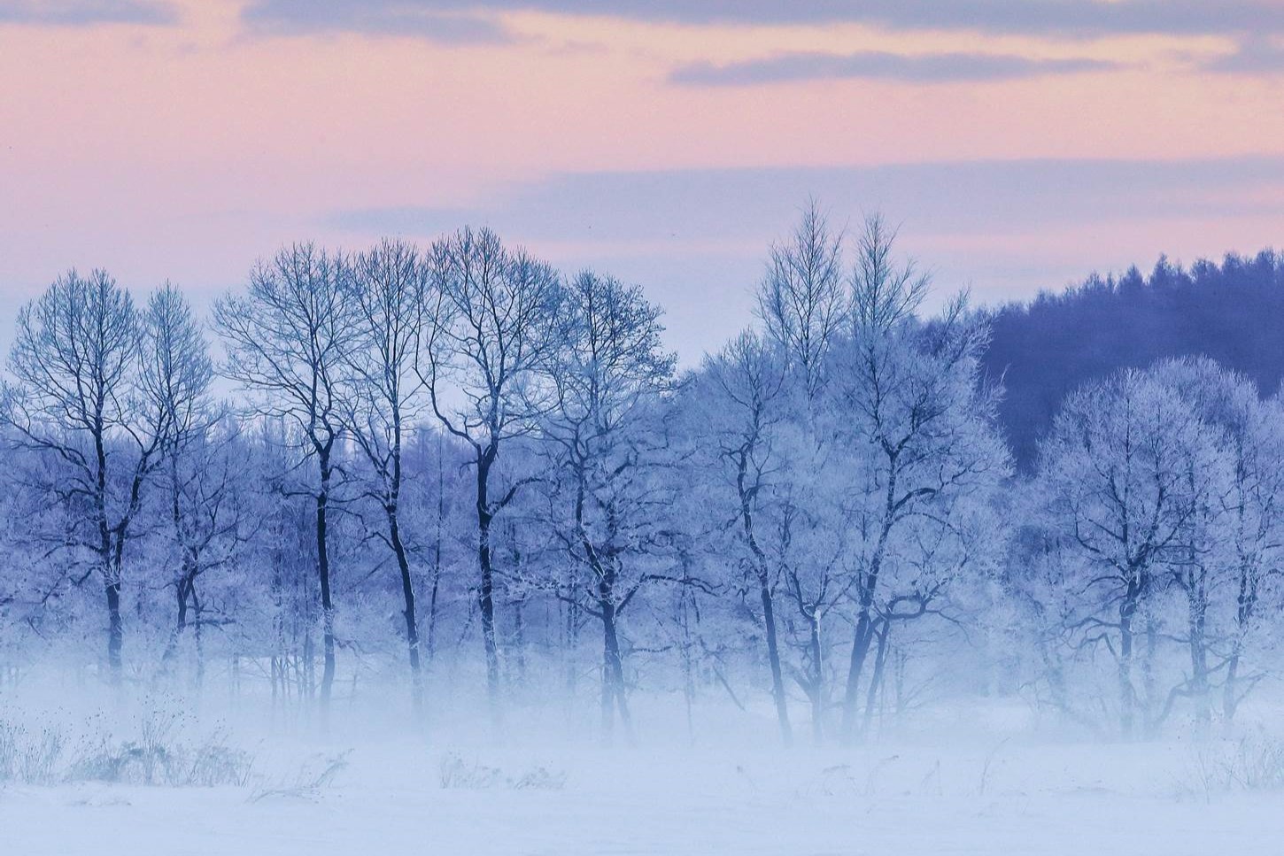 Video: Hokkaido Winter - A Beautiful Snowy World